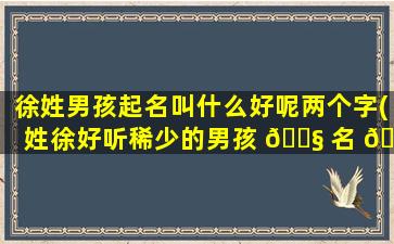 徐姓男孩起名叫什么好呢两个字(姓徐好听稀少的男孩 🐧 名 💐 字)